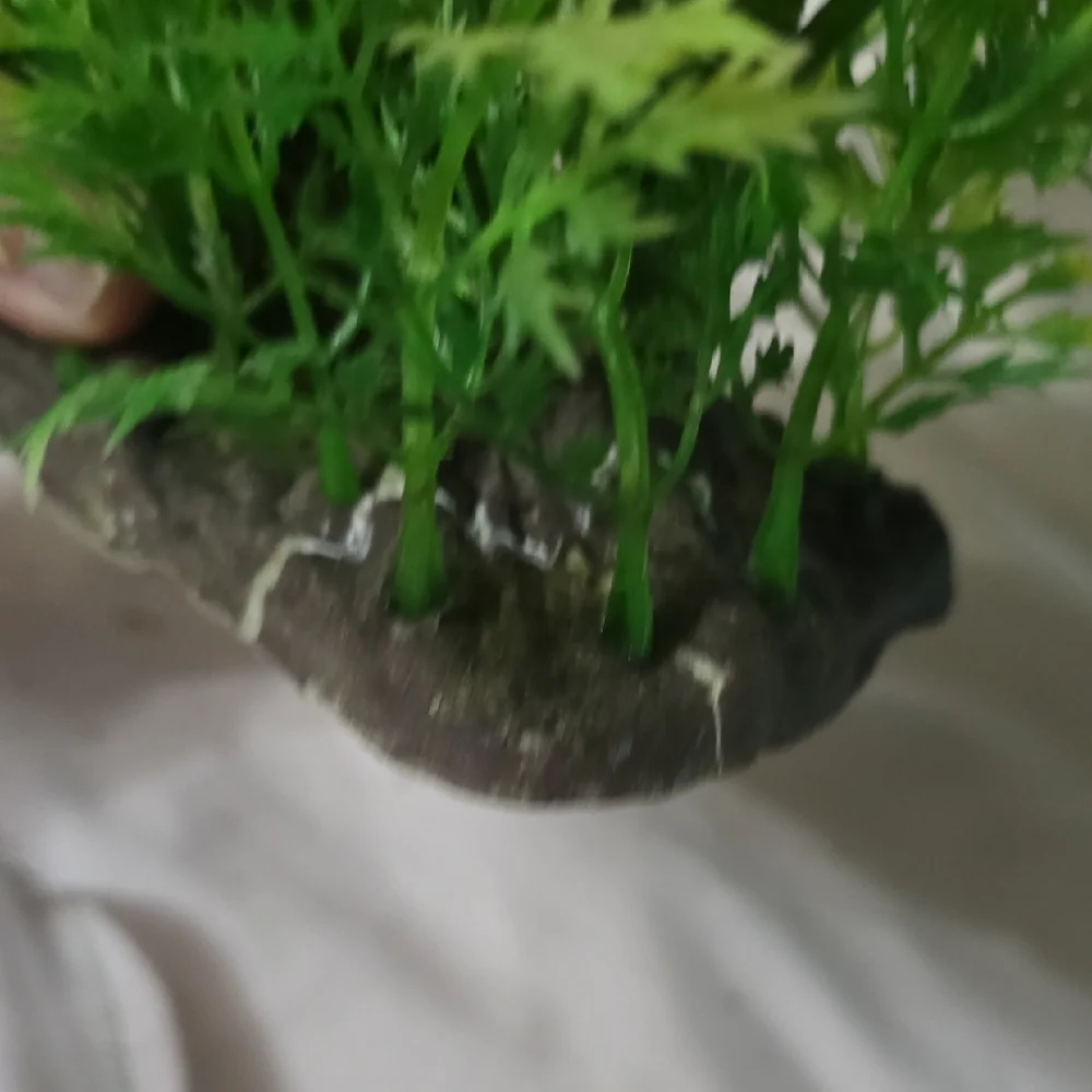 Artificial Green Aquarium Plant